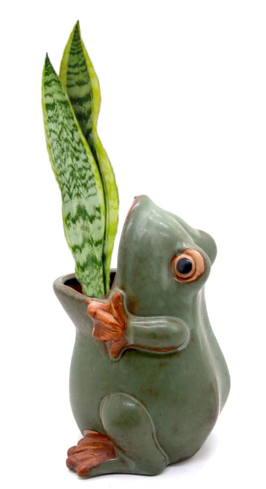 MONMOB 7"" Ceramic Frog Shaped Plant Pot/Bonsai Pot/Flower Pot/Succulent Planter/Candy Dish/Pencil Holder Frog Decor Multipurpose Pot - Image 2